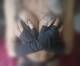 @topless...